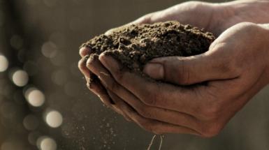 agricoltura 7 novembre 2019