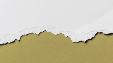 Referendum_Separazione_delle_Carriere